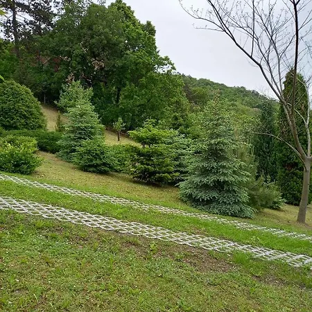 In 42694 * Balatongyörök