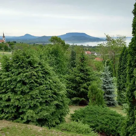 In 42694 * Balatongyörök