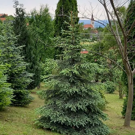 Prázdninový dům In 42694 *